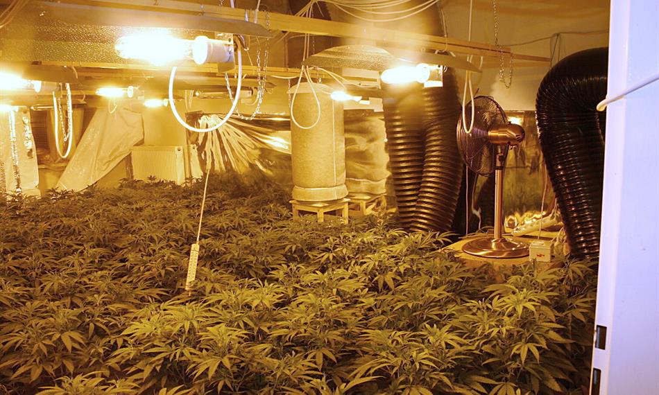 2010-8-18-1117 02 .jpg